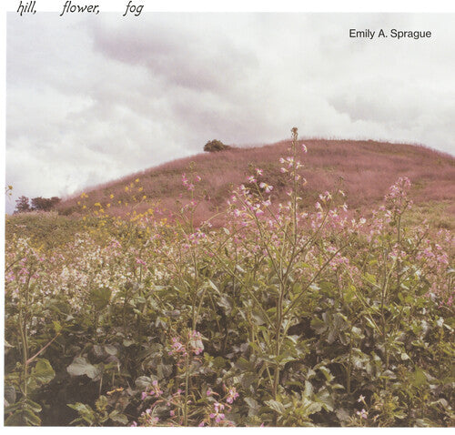 Emily a Sprague: Hill, Flower, Fog { Vinyl LP }