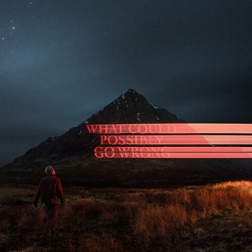 Dominic Fike: What Could Possibly Go Wrong { Vinyl LP }
