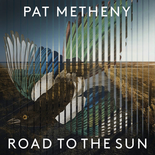 Pat Metheny: Road To The Sun { Vinyl LP }