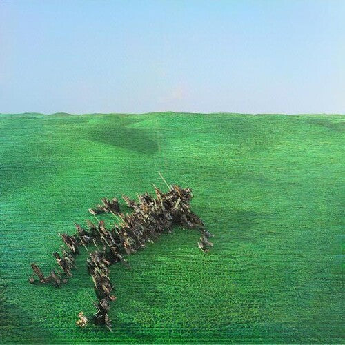 Squid: Bright Green Field { Vinyl LP }