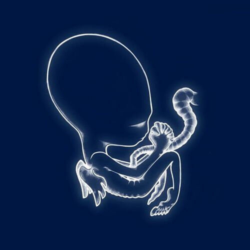Sigur Ros: Agaetis Byrjun { Vinyl LP }