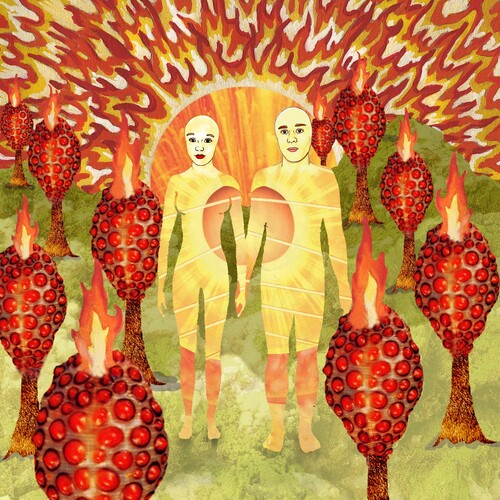 Of Montreal: The Sunlandic Twins { Vinyl LP }