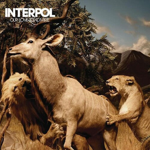 Interpol: Our Love To Admire { Vinyl LP }