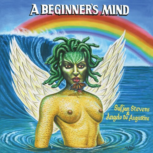 Sufjan Stevens: A Beginner's Mind { Vinyl LP }