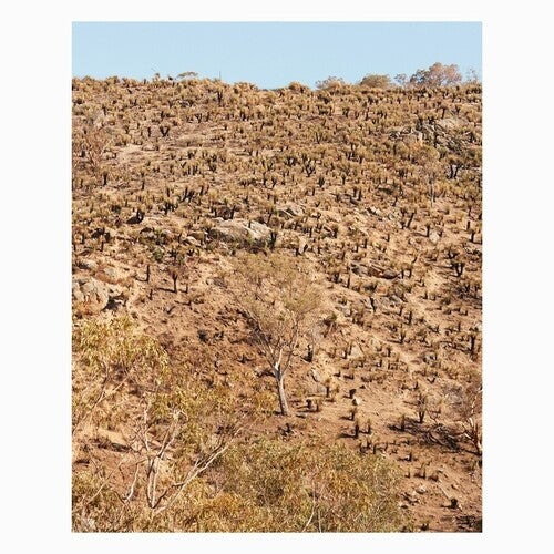 Andrew Pekler: Palimpsests { Vinyl LP }
