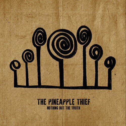 Pineapple Thief: Nothing But The Truth { Vinyl LP }