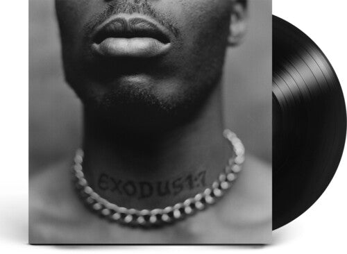 DMX: Exodus { Vinyl LP }