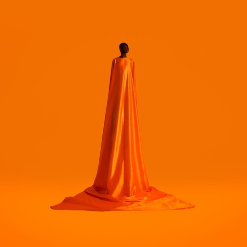 Wayne Snow: Figurine { Vinyl LP }