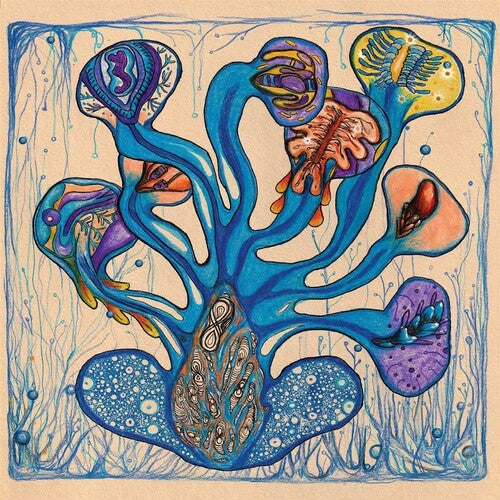 Houeida Hedfi: Fleuves de l'Ame { Vinyl LP }