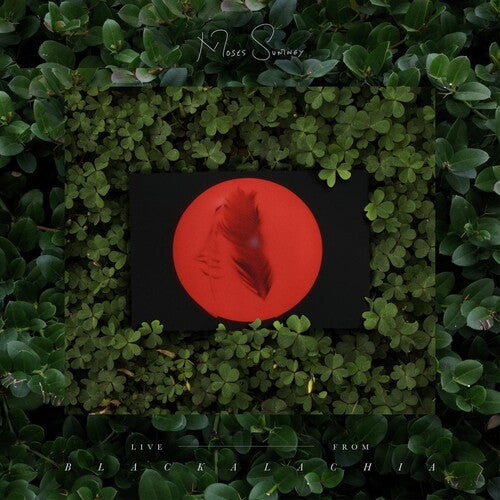 Moses Sumney: Live From Blackalachia (Clear Green) { Vinyl LP }