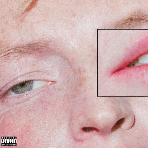 Greeting Committee: Dandelion { Vinyl LP }