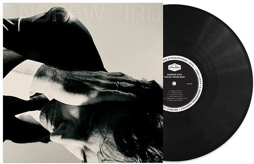 Andrew Bird: Inside Problems { Vinyl LP }