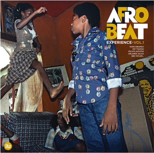 Afrobeat Experience: Vol 1 { Vinyl LP }