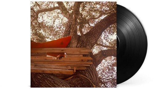 Backseat Lovers: Waiting To Spill { Vinyl LP }