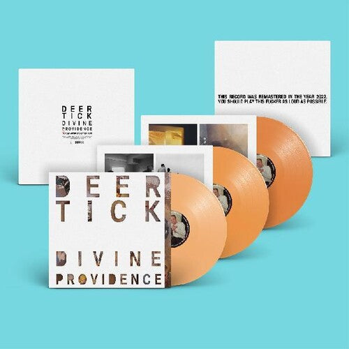 Deer Tick: Divine Providence { Vinyl LP }