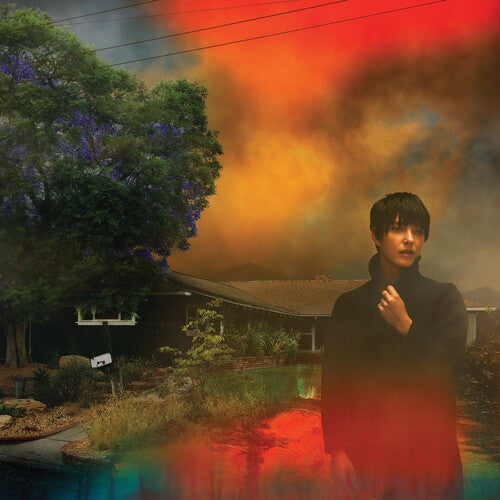 Sharon Van Etten: We've Been Going About This All Wrong - Custard { Vinyl LP }