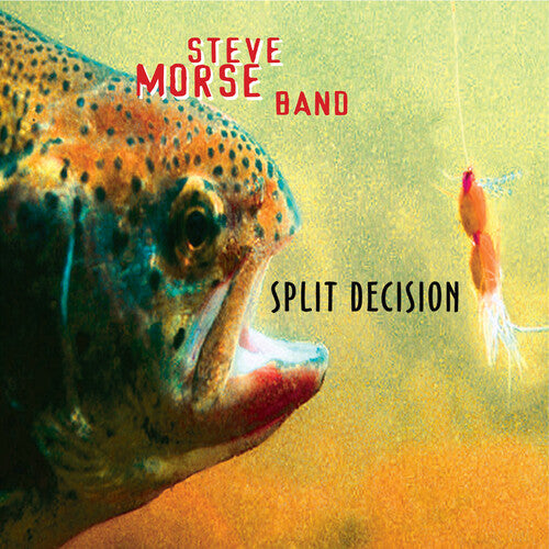 Steve Morse Band: Split Decision { Vinyl LP }
