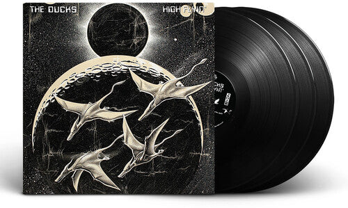 Ducks: High Flyin { Vinyl LP }