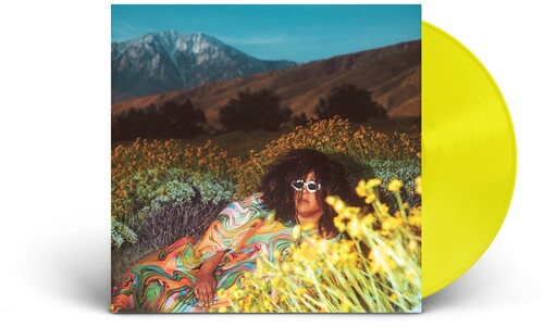 Brittany Howard: What Now { Vinyl LP }