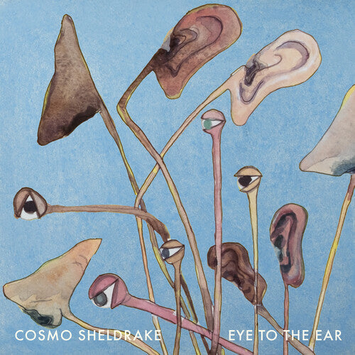 Cosmo Sheldrake: Eye to the Ear { Vinyl LP }