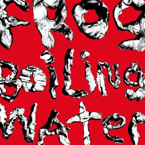 DIIV: Frog In Boiling Water { Vinyl LP }