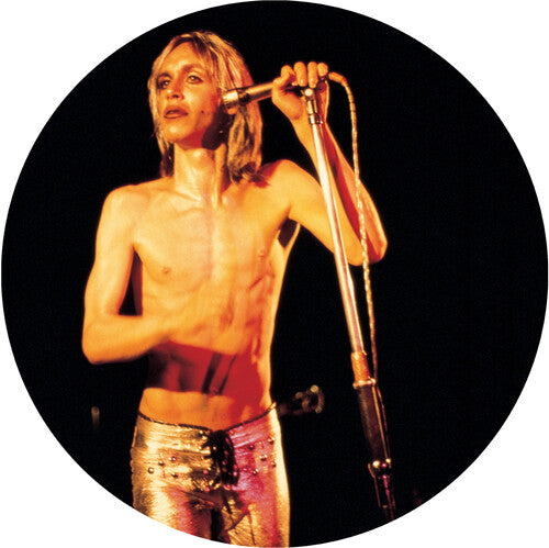 Iggy & The Stooges: More Power { Vinyl LP }