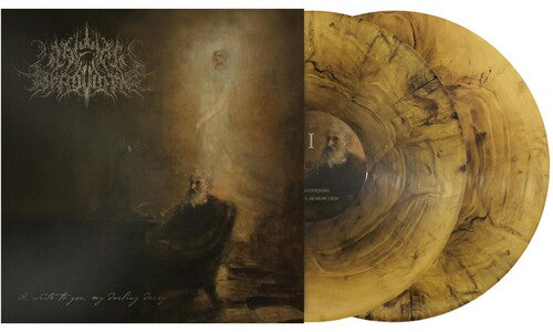 Wake in Providence: I Write To You My Darling Decay { Vinyl LP }