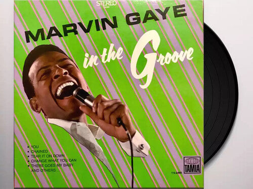 Marvin Gaye: In The Groove { Vinyl LP }