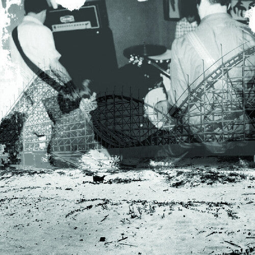 Nuzzle: Follow, for Now { Vinyl LP }