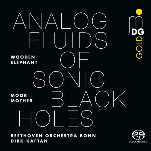 Moor Mother: Analog Fluids of Sonic Black Holes { Vinyl LP }