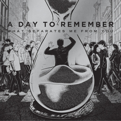 Day to Remember: What Separates Me From You { Vinyl LP }