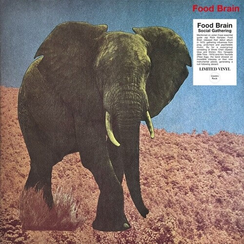 Foodbrain: Social Gathering { Vinyl LP }