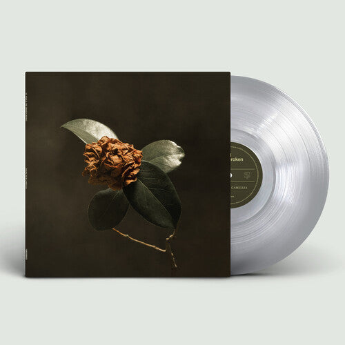 St. Paul & the Broken Bones: Young Sick Camellia { Vinyl LP }