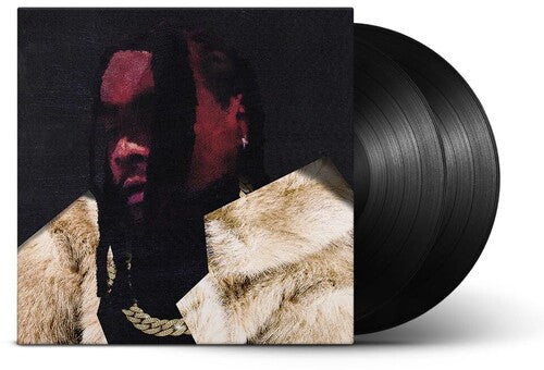 Wale: Everything Is A Lot. { Vinyl LP }