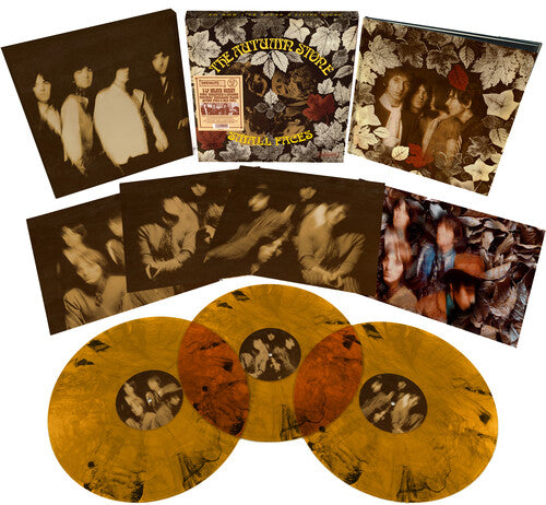 The Small Faces: The Autumn Stone { Vinyl LP }