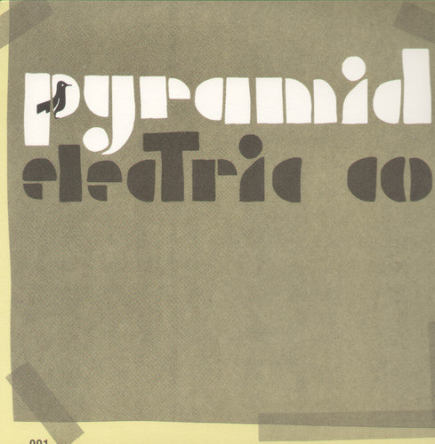 Jason Molina: Pyramid Electric Co { Vinyl LP }