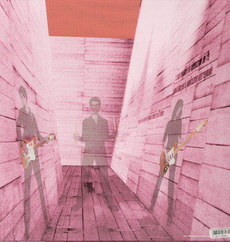 Blonde Redhead: In An Expression of the Inexpressible { Vinyl LP }