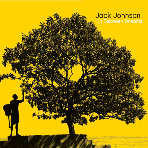 Jack Johnson: In Between Dreams { Vinyl LP }