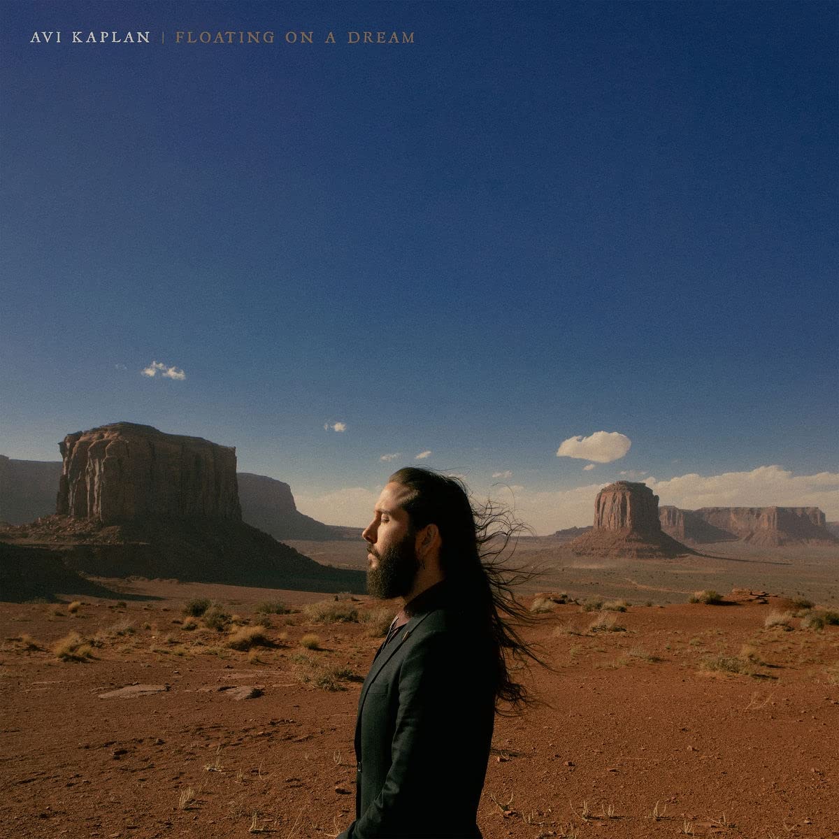 Avi Kaplan: Floating On A Dream { Vinyl LP }