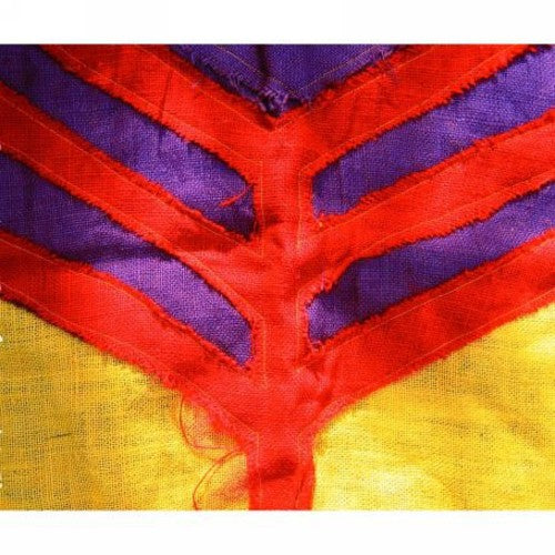 Yeah Yeah Yeahs: Show Your Bones { Vinyl LP }